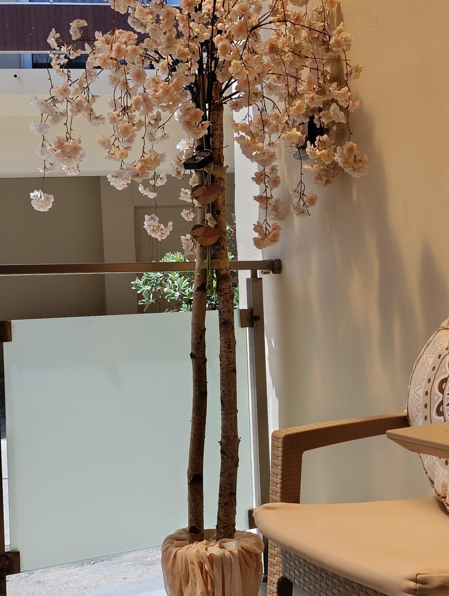 Apolafsi Apartments 2 New With Kitchen La Canea Esterno foto